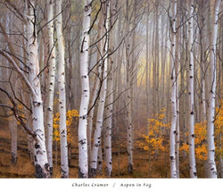 Charles Cramer  Aspen in Fog Kunstdruk 76x66cm | Posters.nl
