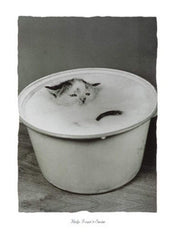 B. Creative  Help I can't swim Kunstdruk 30x40cm | Posters.nl