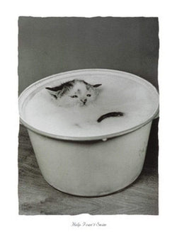 B. Creative  Help I can't swim Kunstdruk 30x40cm | Posters.nl