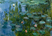 Claude Monet  Seerosen Kunstdruk 100x70cm | Posters.nl