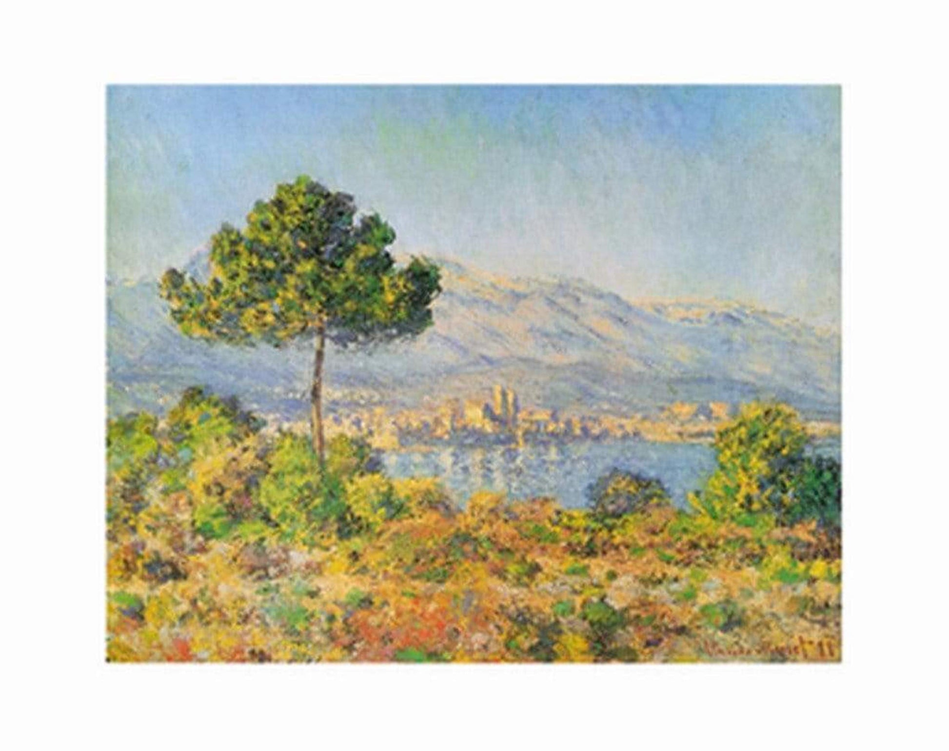 Claude Monet  Antibes, 1888 Kunstdruk 71x56cm | Posters.nl