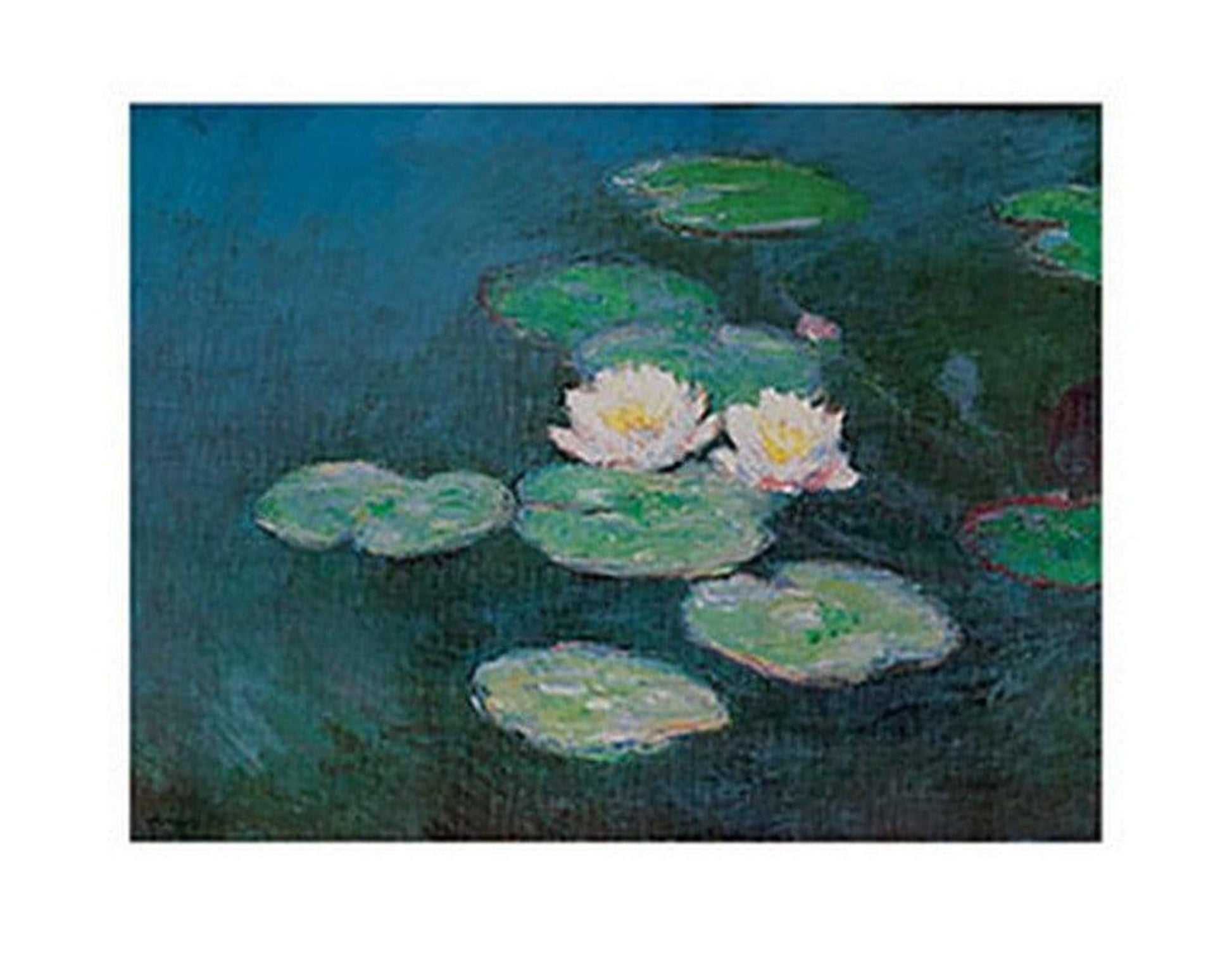 Claude Monet  Seerosen Kunstdruk 71x56cm | Posters.nl