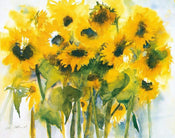 Christa Ohland  Sonnenblumenfeld Kunstdruk 12x90cm | Posters.nl