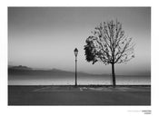 Christian Coigny  Lutry Lac Lemon Kunstdruk 80x60cm | Posters.nl