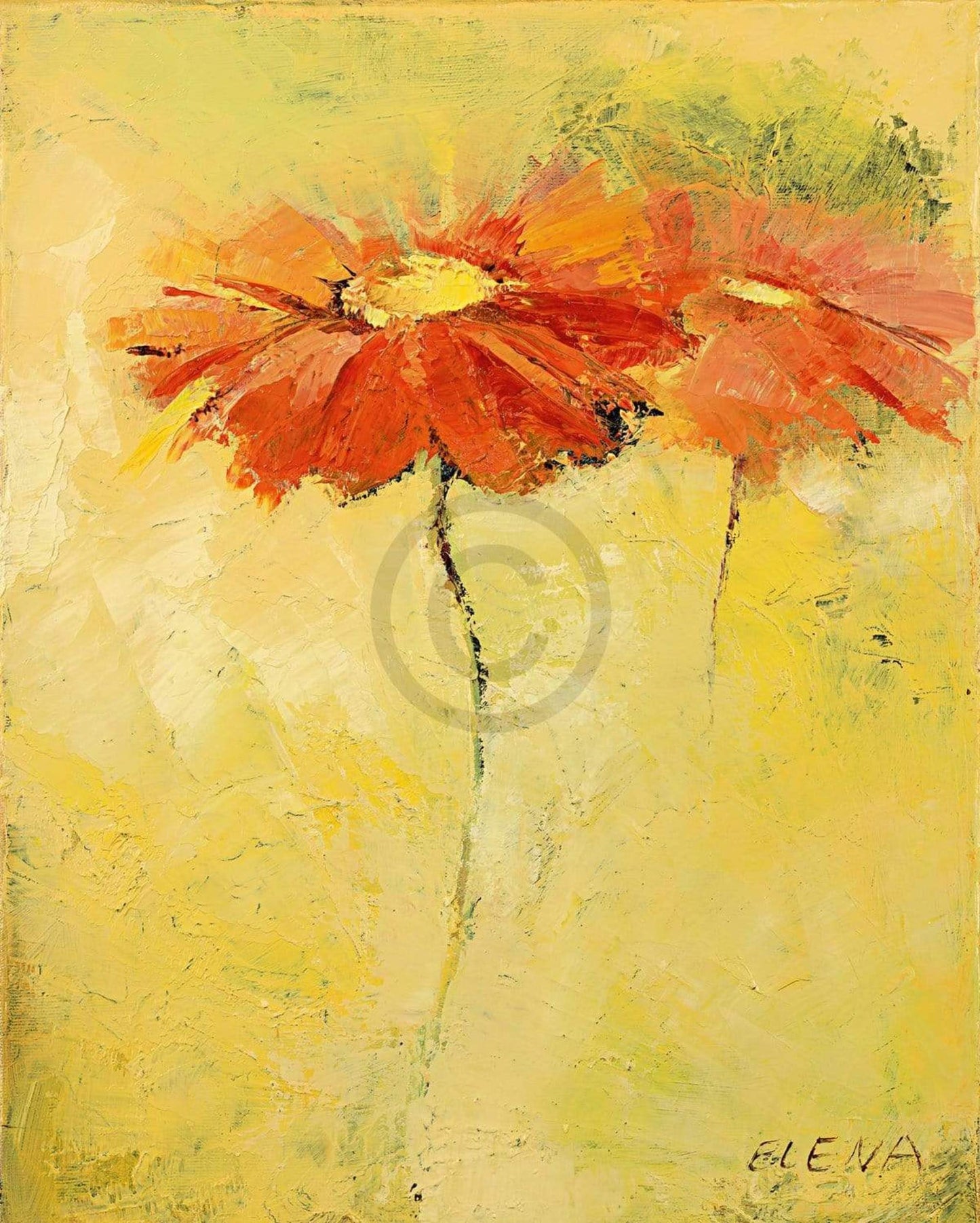 Elena Filatov  Feldblumen I Kunstdruk 40x50cm | Posters.nl