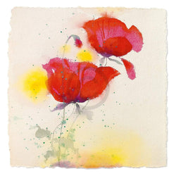 Andrea Fontana  Papaveri I Kunstdruk 70x70cm | Posters.nl