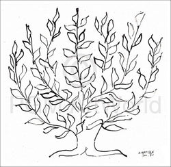 Henri Matisse  Le platane Kunstdruk 100x100cm | Posters.nl