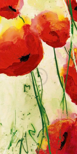 Heidi Reil  Klatschmohn Kunstdruk 50x100cm | Posters.nl