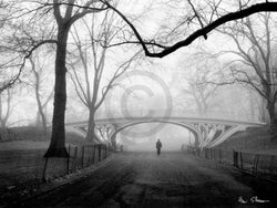Henri Silberman  Gothic Bridge, Central Park NYC Kunstdruk 80x60cm | Posters.nl