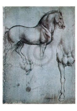 Leonardo Da Vinci  Studio di cavalli Kunstdruk 35x50cm | Posters.nl