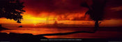 Tom Mackie  Tropical Beach at Sunset Kunstdruk 95x33cm | Posters.nl