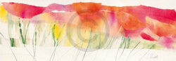 Marta Peuckert  Poppy ribbon red Kunstdruk 100x35cm | Posters.nl