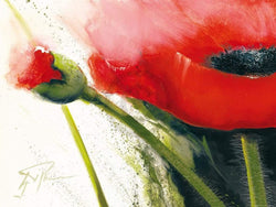 Gerd Pflumm  Faszination Mohn I Kunstdruk 80x60cm | Posters.nl