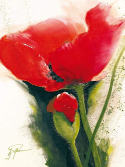 Gerd Pflumm  Faszination Mohn II Kunstdruk 60x80cm | Posters.nl