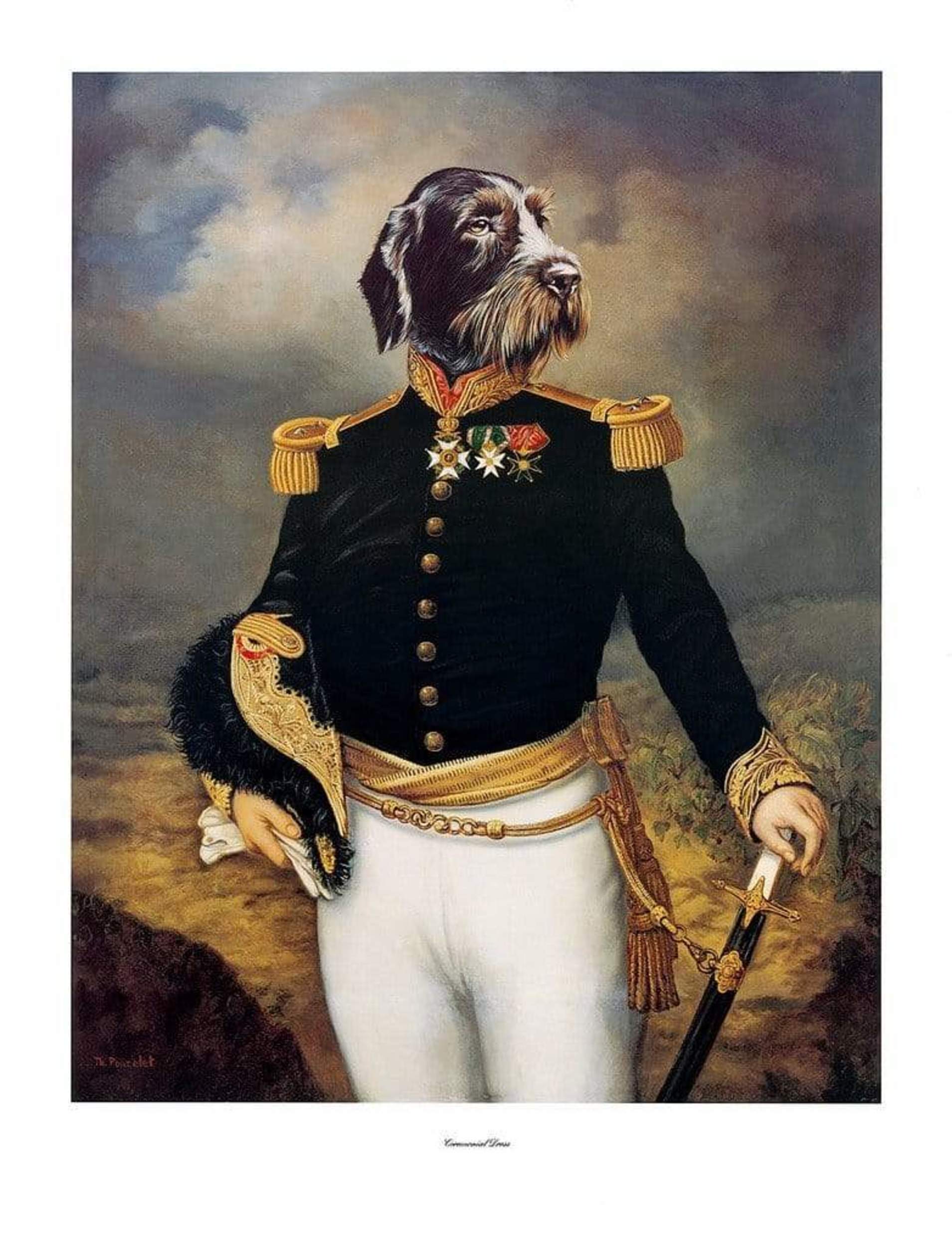 Thierry Poncelet  Ceremonial Dress Kunstdruk 66x86cm | Posters.nl