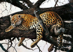 Renato Casaro  Laziness Kunstdruk 70x50cm | Posters.nl