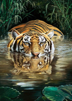 Renato Casaro  Bamboo Kunstdruk 50x70cm | Posters.nl