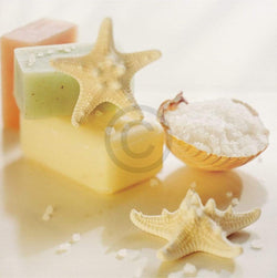 Sondra Wampler  Teaberry Kunstdruk 25x25cm | Posters.nl