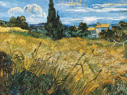 Vincent Van Gogh  Campo di grano Kunstdruk 80x60cm | Posters.nl