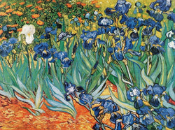 Vincent Van Gogh  Iris Kunstdruk 80x60cm | Posters.nl