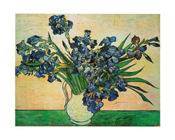 Vincent Van Gogh  Iris Strauss, 1890 Kunstdruk 50x40cm | Posters.nl