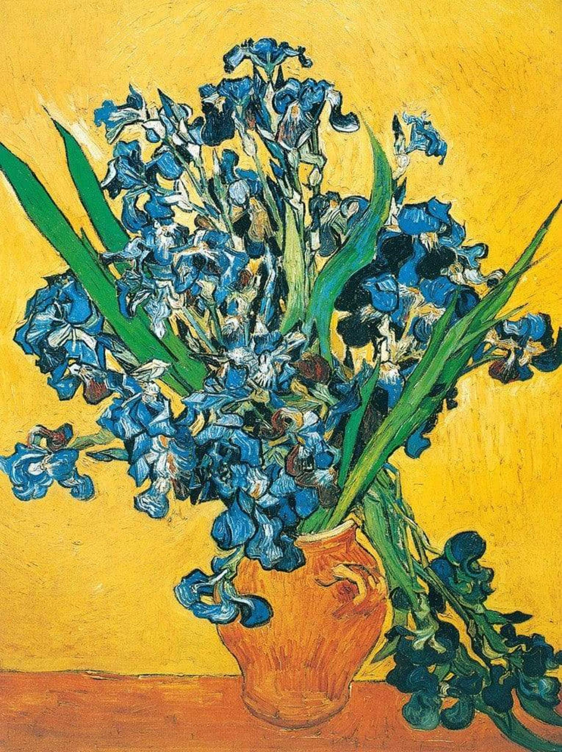Vincent Van Gogh  Les iris Kunstdruk 60x80cm | Posters.nl