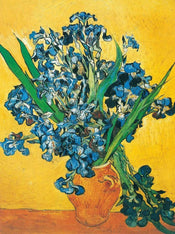 Vincent Van Gogh  Les iris Kunstdruk 60x80cm | Posters.nl