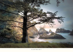 William Vanscoy  All Day Dreamer Kunstdruk 91x66cm | Posters.nl