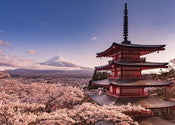 Pyramid Mount Fuji Blossom Poster 140x100cm | Posters.nl