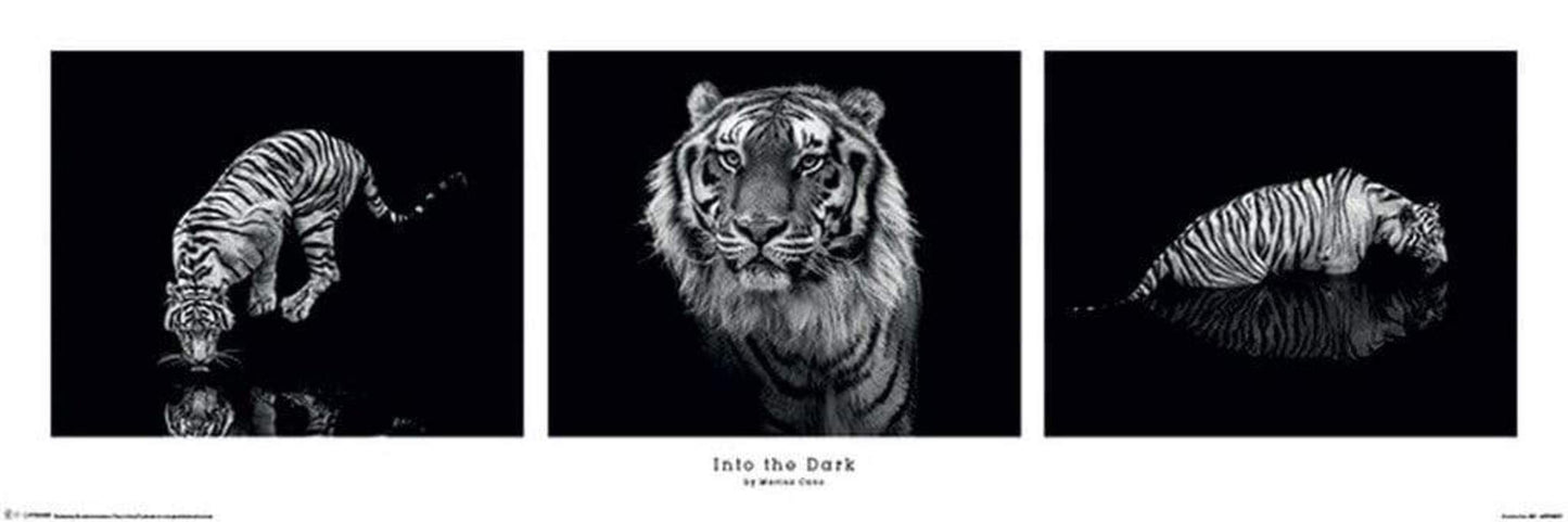 Pyramid Marina Cano Into the Dark Poster 91,5x30,5cm | Posters.nl