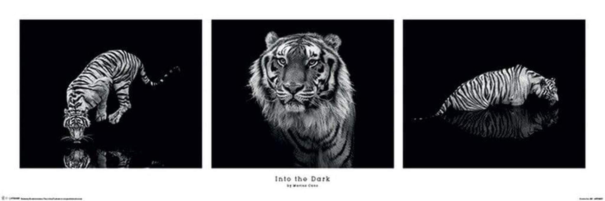Pyramid Marina Cano Into the Dark Poster 91,5x30,5cm | Posters.nl