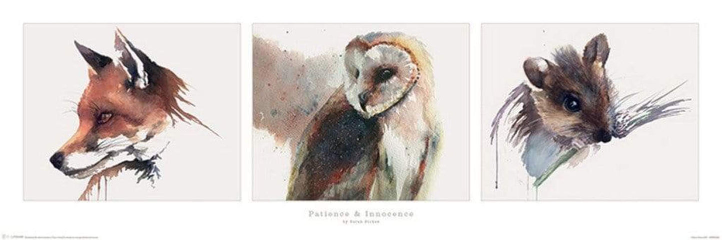 Pyramid Sarah Stokes Patience and Innocence Poster 91,5x30,5cm | Posters.nl