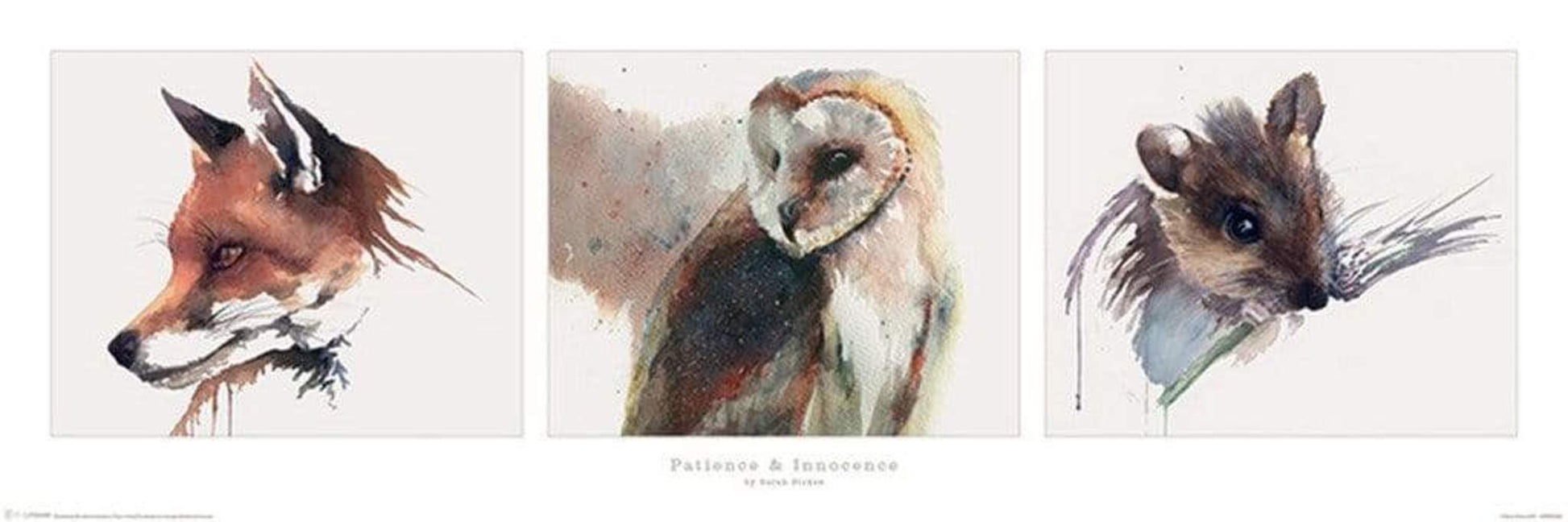 Pyramid Sarah Stokes Patience and Innocence Poster 91,5x30,5cm | Posters.nl