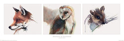 Pyramid Sarah Stokes Patience and Innocence Poster 91,5x30,5cm | Posters.nl