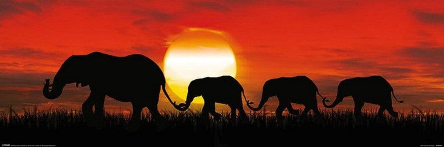 Pyramid Sunset Elephants Poster 91,5x30,5cm | Posters.nl