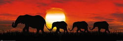 Pyramid Sunset Elephants Poster 91,5x30,5cm | Posters.nl