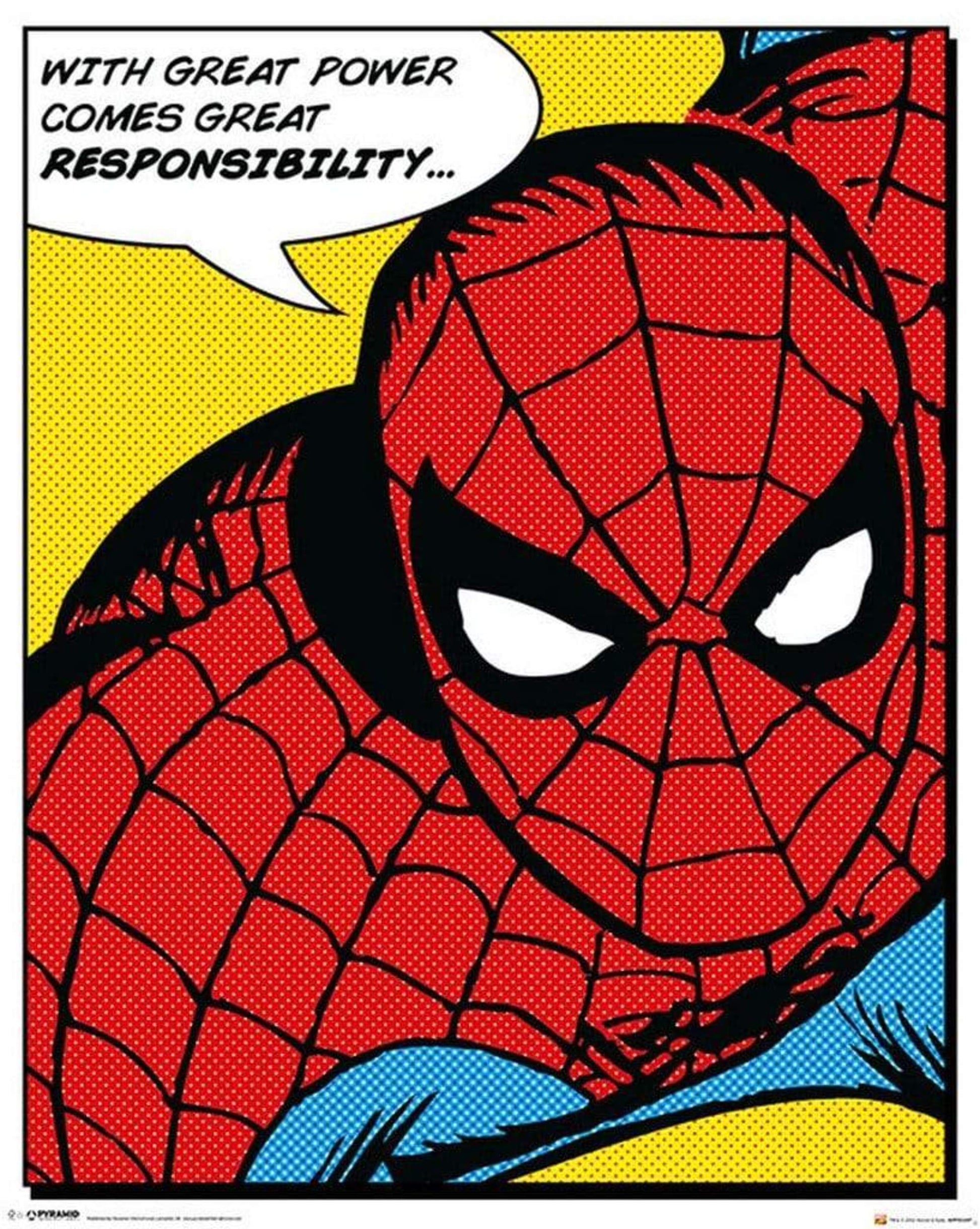 Pyramid Spider Man Quote Poster 40x50cm | Posters.nl