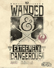 Pyramid Fantastic Beasts Extremely Dangerous Poster 40x50cm | Posters.nl