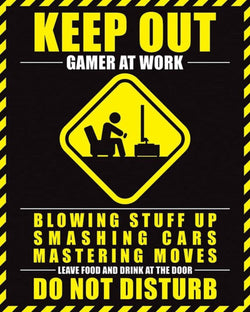 Pyramid Gamer At Work Do Not Disturb Poster 40x50cm | Posters.nl
