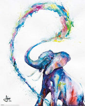 Pyramid Marc Allante Elephant Poster 40x50cm | Posters.nl