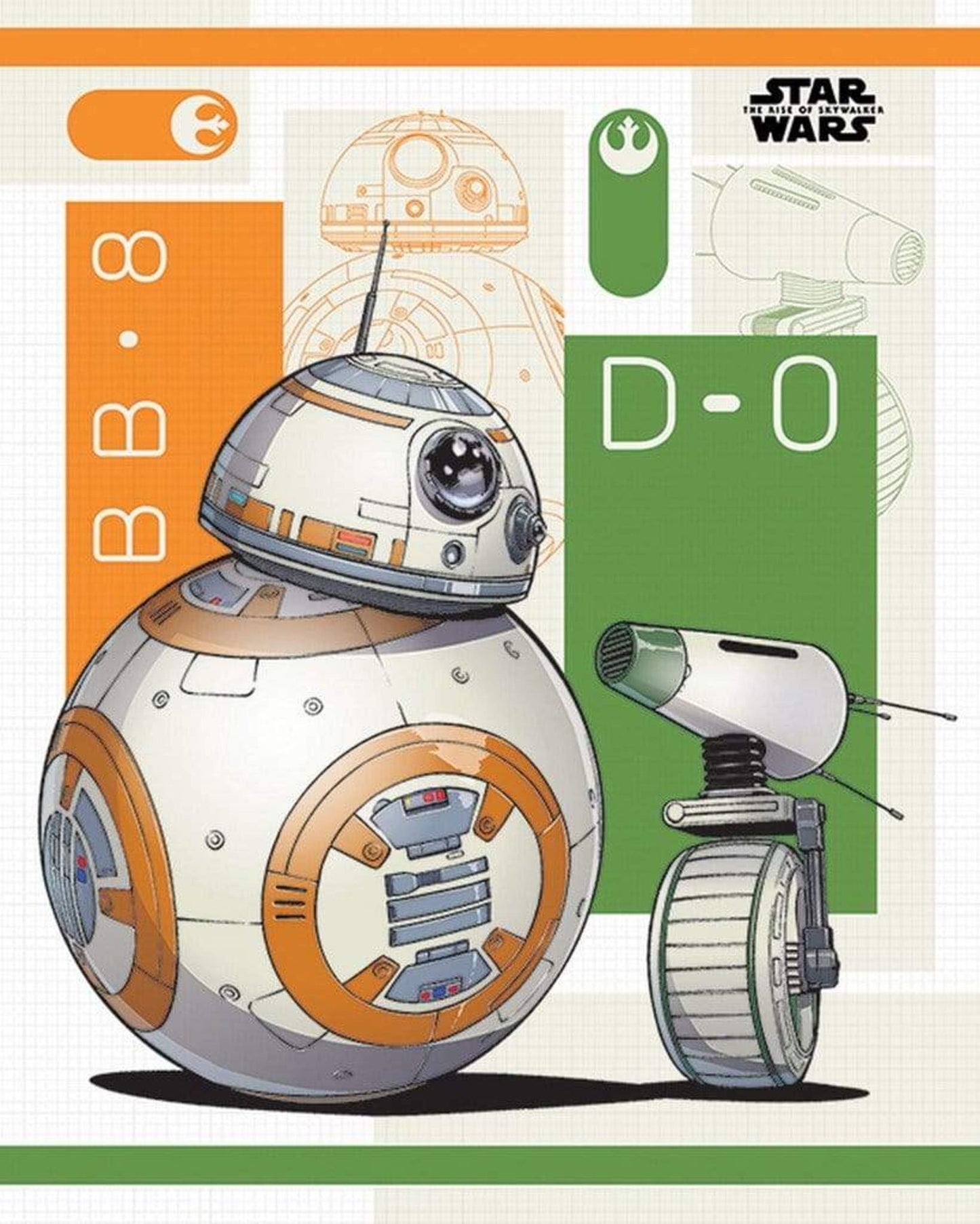 Pyramid Star Wars The Rise of Skywalker BB 8 and D 0 Poster 40x50cm | Posters.nl