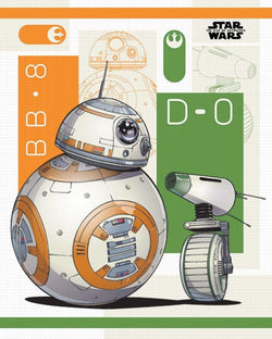 Pyramid Star Wars The Rise of Skywalker BB 8 and D 0 Poster 40x50cm | Posters.nl