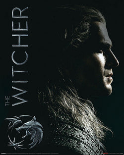 Pyramid The Witcher Shadows Embrace Poster 40X50cm | Posters.nl