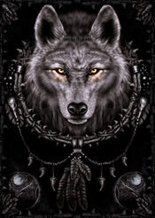 Pyramid Spiral Wolf Dreams Poster 61x91,5cm | Posters.nl