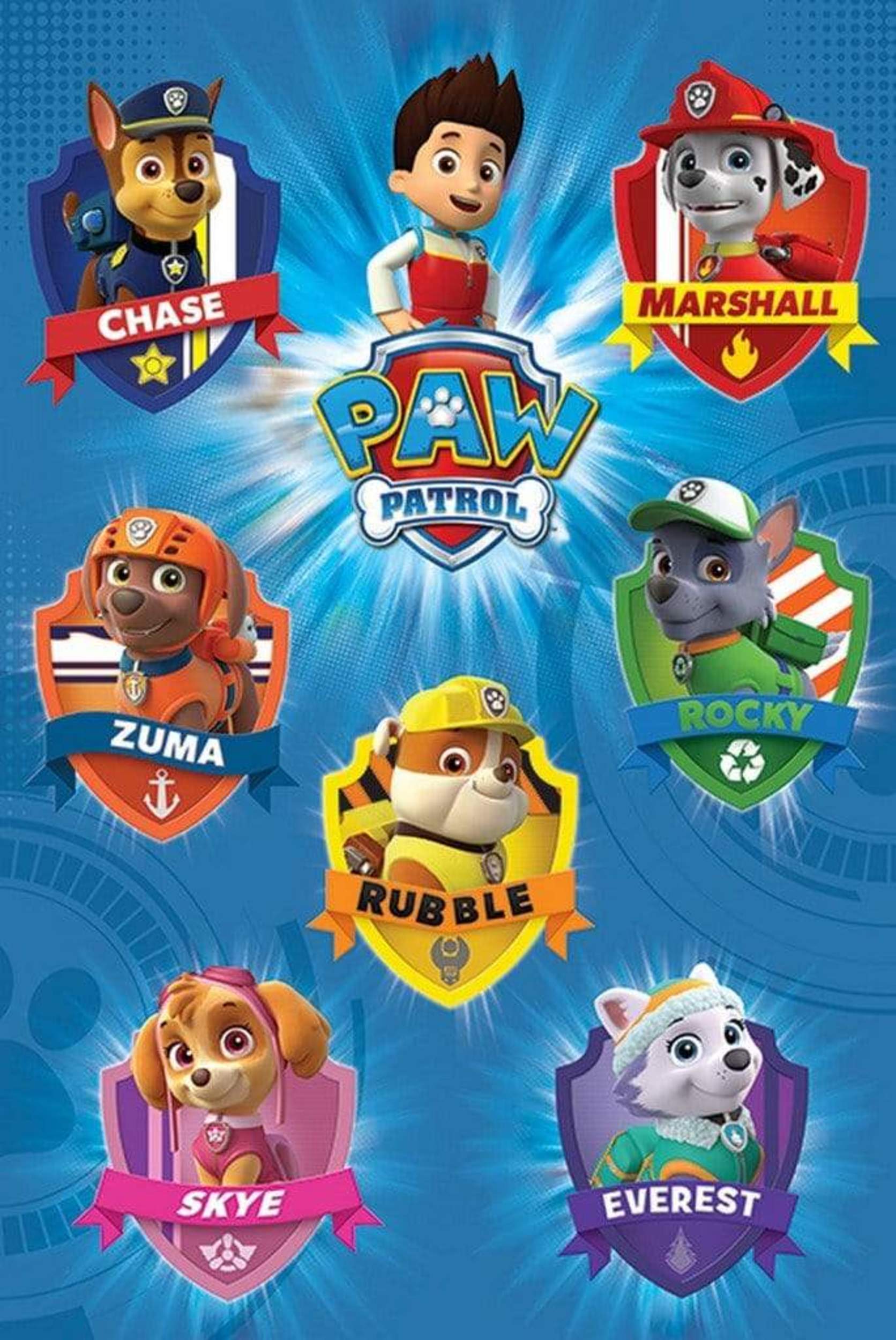Pyramid Paw Patrol Crests Poster 61x91,5cm | Posters.nl