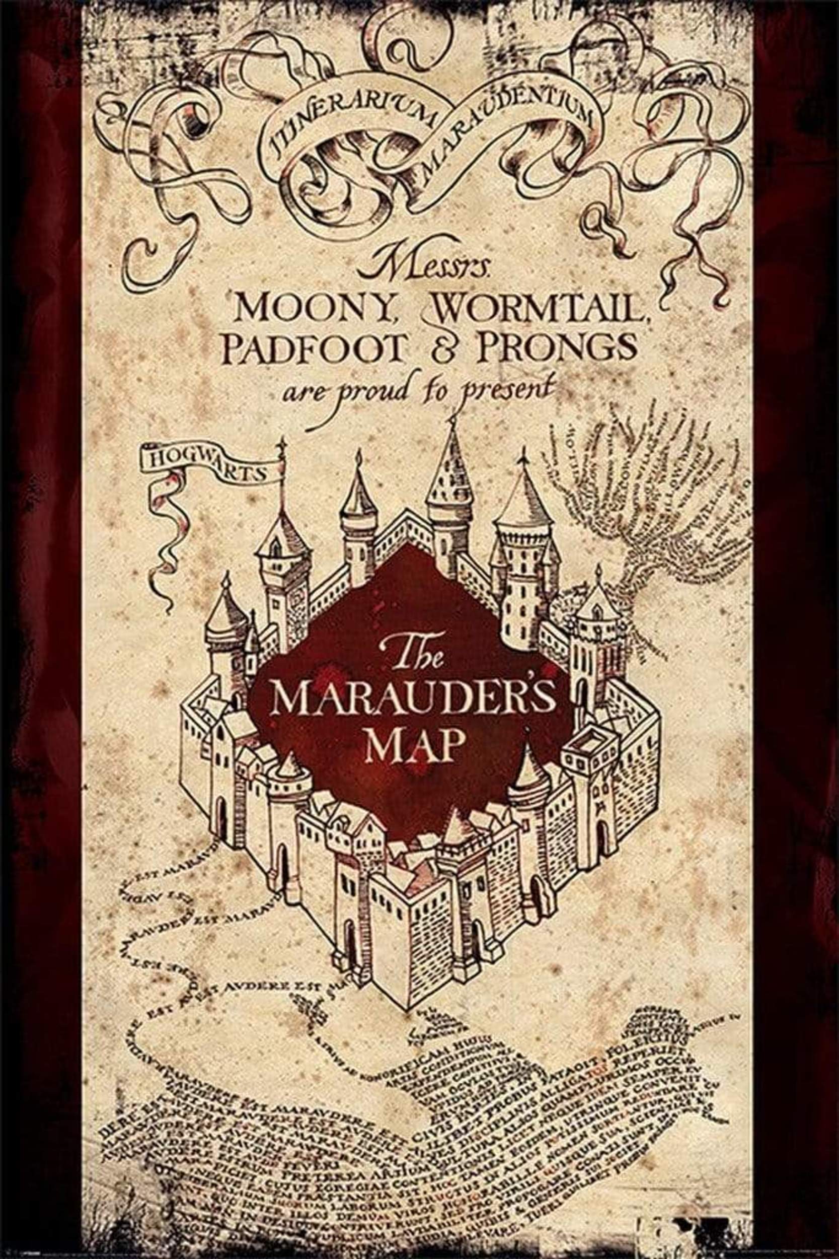 Pyramid Harry Potter The Marauders Map Poster 61x91,5cm | Posters.nl