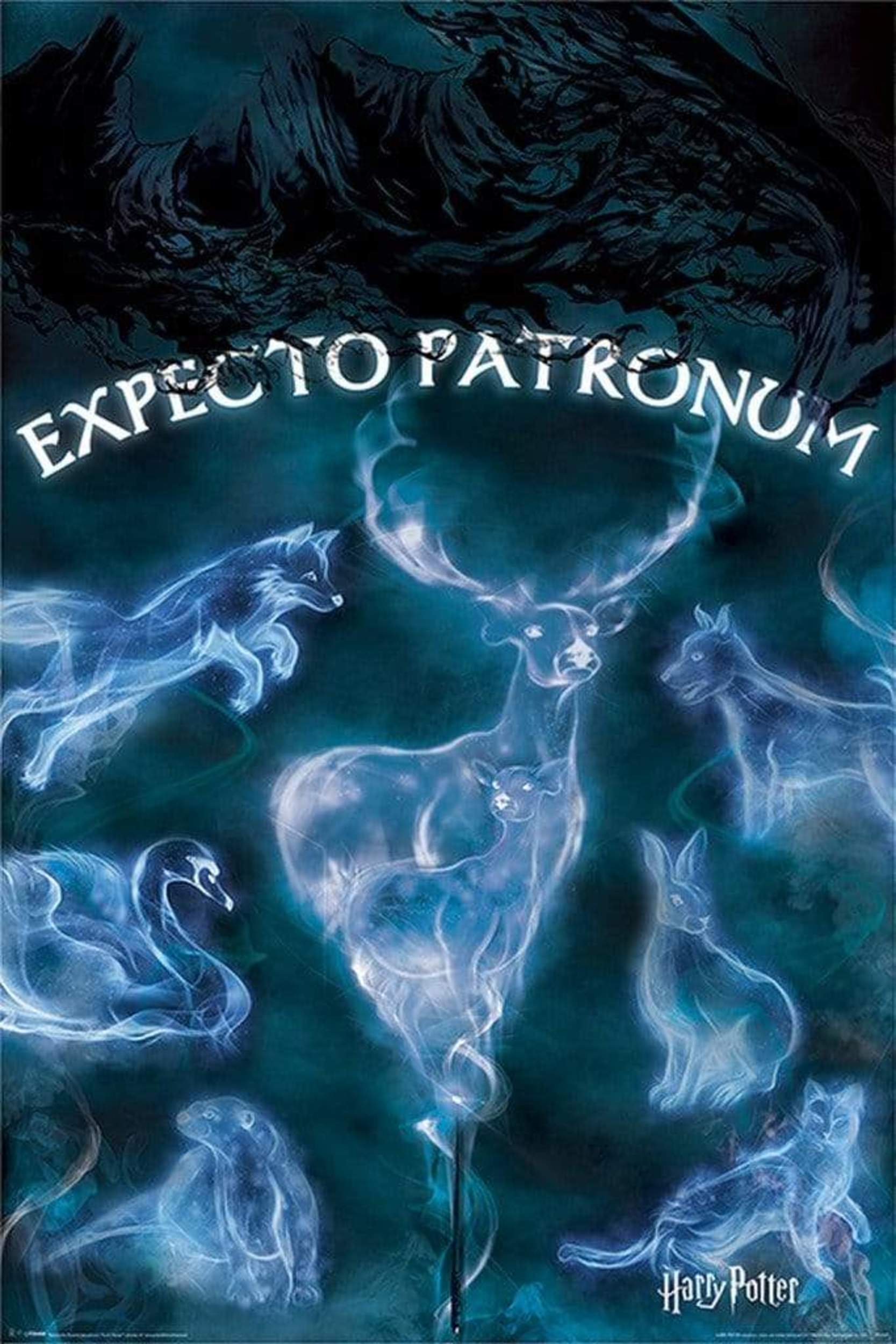 Pyramid Harry Potter Patronus Poster 61x91,5cm | Posters.nl