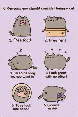 Pyramid Pusheen Reasons to be a Cat Poster 61x91,5cm | Posters.nl
