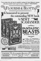 Pyramid Fantastic Beasts the Crimes of Grindelwald Flourish and Blotts Poster 61x91,5cm | Posters.nl