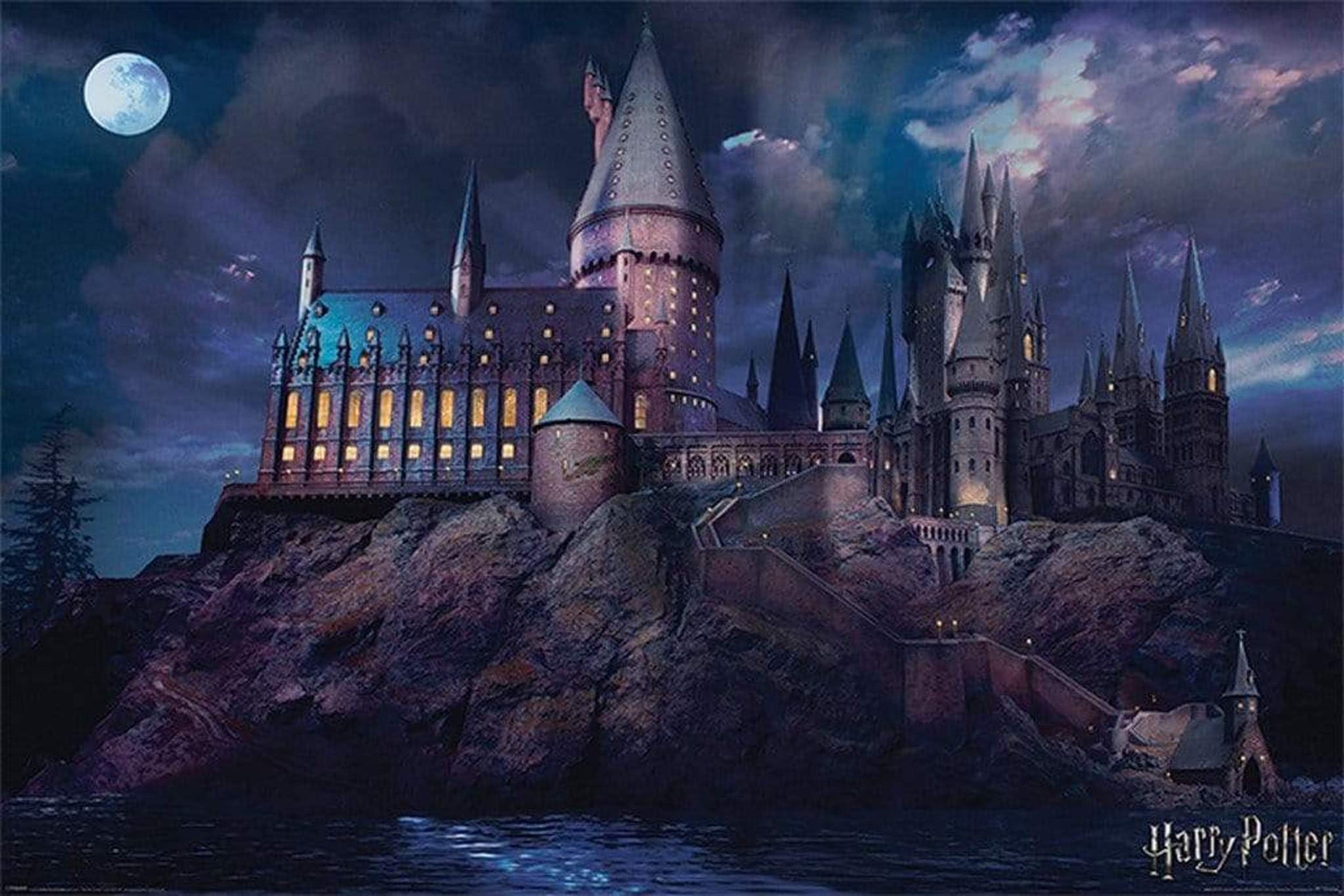 Pyramid Harry Potter Hogwarts Poster 91,5x61cm | Posters.nl